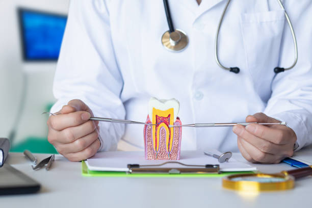 Best Emergency Dental Services for Seniors in Affton, MO